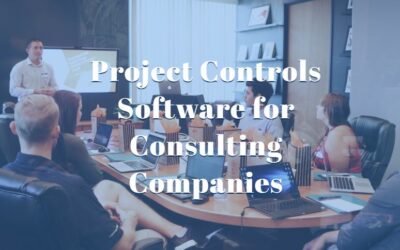 Project Controls Software for Consulting Companies