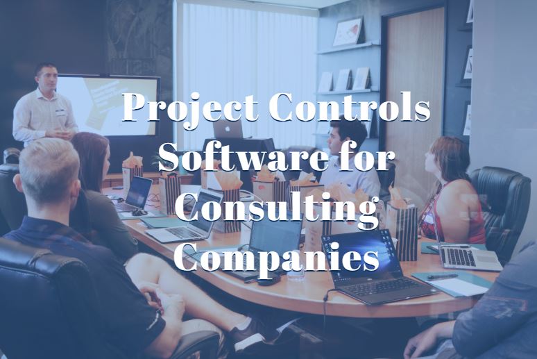 project-controls-software-consulting-companies