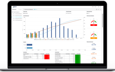 Transforming Your Business with Executive Dashboards