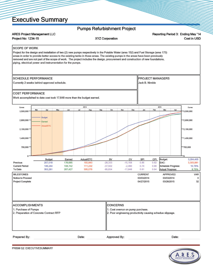 executive-summary-project-report