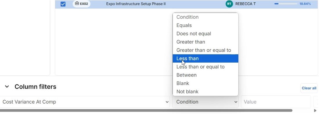 conditional logic for capital project data
