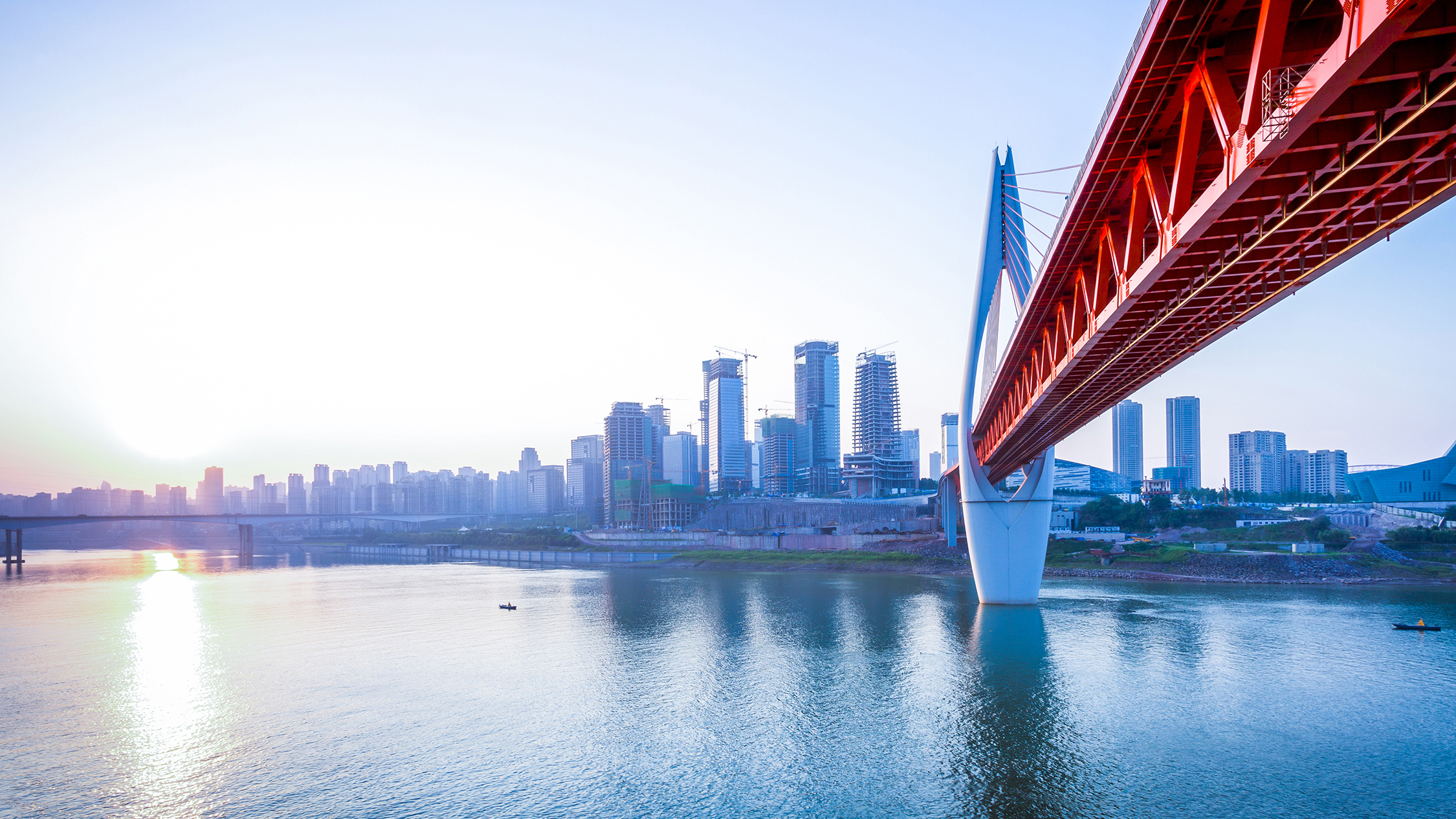 Project professional working on contracts for new mega project