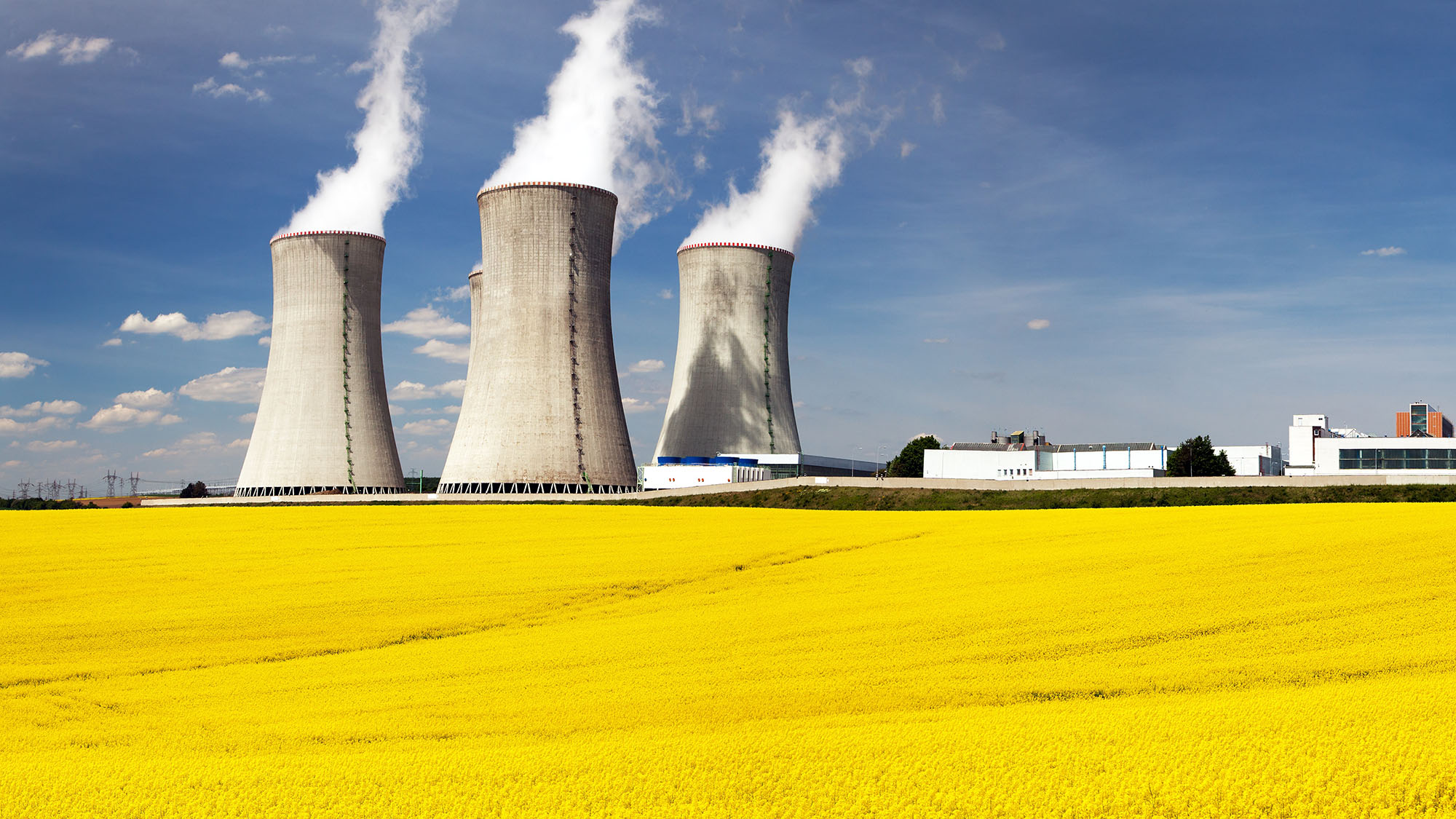 Employee reviewing contractor agreements on online portal